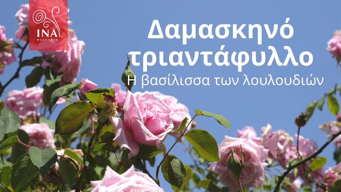 Αυτός είναι ο λόγος που θέλετε το ΧΡΥΣΟ υγρό στα προϊόντα περιποίησης των μαλλιών και της επιδερμίδας σας – Η Βασίλισσα των Λουλουδιών από την InaEssentials