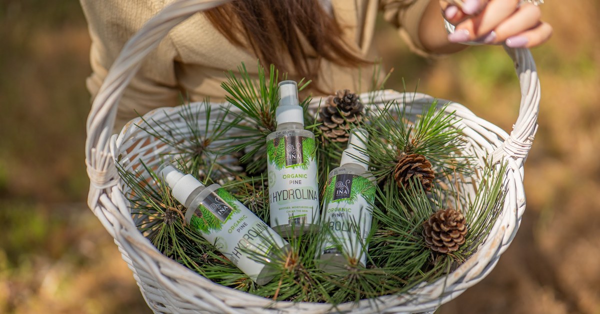 Βελόνες δασικής πεύκης Pinus sylvestris και Βιολογικό ανθόνερο Λευκής Πεύκης Hydrolina