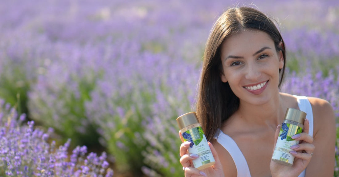 Λεβάντα Lavandula angustifolia και Hydrobiotic Λεβάντα & Μέντα στο χωράφι με λεβάντα